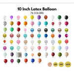 Latex Balloons 25cm/10 inch